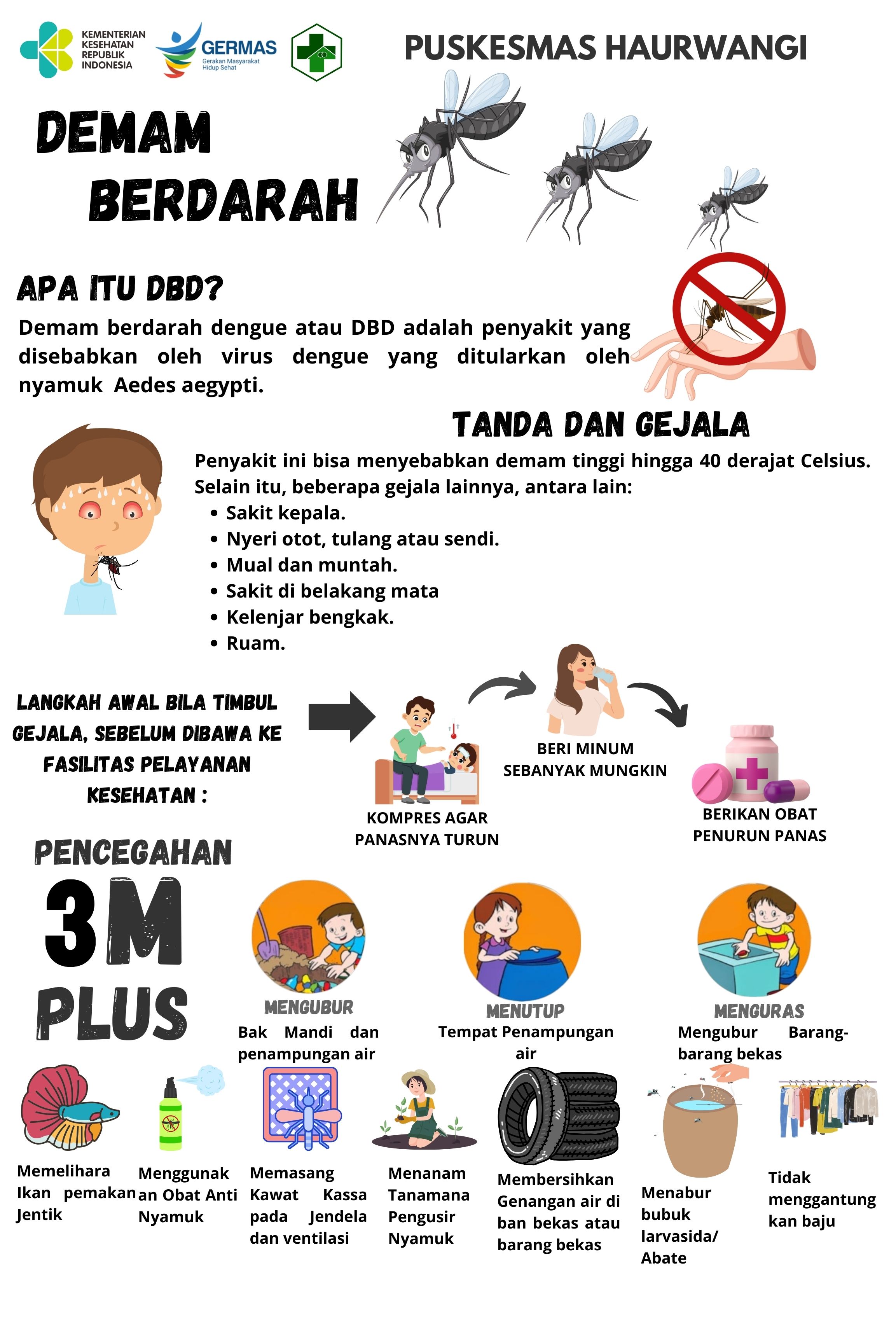 Demam Berdarah Dengue (DBD)